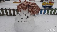 100 снеговиков сделали сахалинские ребятишки на конкурс astv.ru, Фото: 1