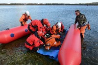 «Друзья океана» провели первые учения по оказанию помощи морским животным, Фото: 13