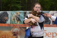 В рамках выставки беспородных собак в Южно-Сахалинске 8 питомцев обрели хозяев, Фото: 148