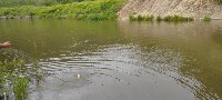 Сахалинец рассказал о "геноциде лососей" в Невельском районе, Фото: 5