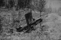 Японская горная пушка найдена на Сахалине, Фото: 6