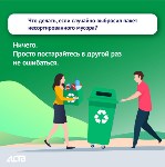 "Вы делаете это неправильно": astv.ru задал эксперту 10 глупых вопросов о сортировке мусора, Фото: 7