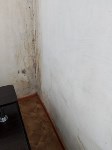 Жители дома в Александровске-Сахалинском жалуются на состояние квартир, Фото: 2