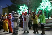 Шествием Дедов Морозов и огнем открыли новогоднюю елку в Ногликах, Фото: 5
