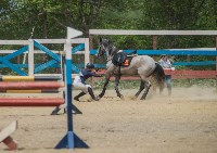 Соревнования по конному спорту, Фото: 9