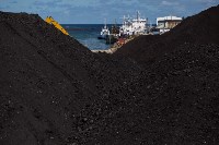 Минтранс России поможет Сахалину развивать Невельский и Холмский порты, Фото: 2