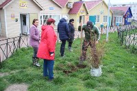 Более 100 цветущих кустарников высадили в Томари, Фото: 2