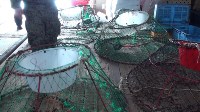 Более 20 тонн краба выловили из околосахалиснких вод браконьеры, Фото: 3