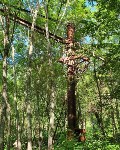 Сахалинец нашёл в глухом лесу огромный строительный кран, Фото: 8