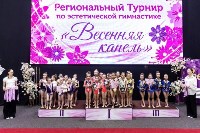 Первенство ДФО по эстетической гимнастике , Фото: 9