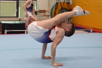 На Сахалине определили сильнейших в спортивной гимнастике, Фото: 16