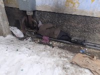 Немытые бомжи отравляют жизнь южносахалинцам, Фото: 3