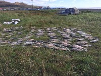 Более 600 кг кеты изъяли пограничники у браконьеров в Корсаковском районе, Фото: 1