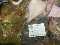 Почти 450 тонн свежевыловленной рыбы по сниженным ценам продали сахалинцам и курильчанам в 2022 году, Фото: 3