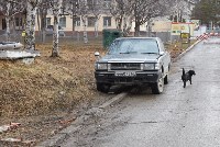 В Хомутово зафиксировали около 30 фактов незаконной парковки на газонах, Фото: 7