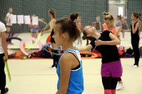 Юных гимнасток Южно-Сахалинска тренирует трехкратный чемпион мира , Фото: 26