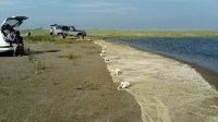 Спасение тюленя в озере за Стародубским, Фото: 3
