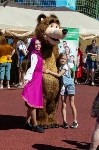Большой фестиваль "Моя семья" в Южно-Сахалинске, Фото: 2
