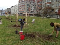 Акция по посадке деревьев прошла в сквере Ждакаева, Фото: 5