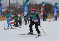 Больше 220 спортсменов собрала «Рождественская лыжня» в Троицком, Фото: 18
