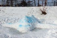 Фигуры морских животных появились в городском парке Южно-Сахалинска, Фото: 1