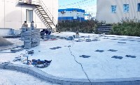 "Сквер танцующих деревьев" появится в Курильске к концу ноября, Фото: 4