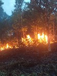 Пожар в лесу в Анивском районе, Фото: 2