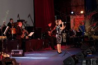 Сахалинцев приглашают увидеть уникальное "техноЛогичное" шоу Алёны Викол, Фото: 11