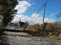 В Южно-Сахалинске поваленное дерево перегородило улицу Горную, Фото: 4