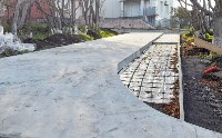 "Сквер танцующих деревьев" появится в Курильске к концу ноября, Фото: 3