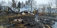 Открытое пламя в СНТ «Ландыш» потушили, Фото: 6
