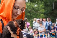В рамках выставки беспородных собак в Южно-Сахалинске 8 питомцев обрели хозяев, Фото: 182