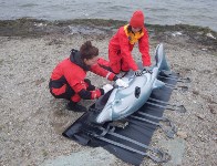 На побережье Тунайчи сахалинские активисты научились спасать дельфинов, Фото: 5