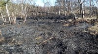 В Корсаковском районе горит трава, Фото: 15