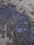 Берег в Песчанском очислили от мазута, Фото: 7