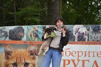 В рамках выставки беспородных собак в Южно-Сахалинске 8 питомцев обрели хозяев, Фото: 255