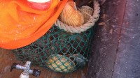 Впервые браконьеров-водолазов задержали с поличным в море у берегов Сахалина, Фото: 3