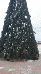 Жители Красногорска расстроились из-за прозрачной новогодней ёлки, Фото: 1