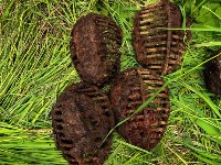 Находки поисковиков на Шумшу, Фото: 3