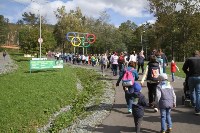 Всероссийский день ходьбы отметили на Сахалине, Фото: 19