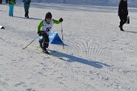 Соревнования по лыжным гонкам, Фото: 5