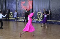 Чемпионат области по танцевальному спорту, Фото: 11