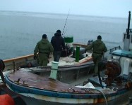 На Сахалине задержана группа браконьеров,  добывающих крабов, Фото: 6