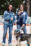 В рамках выставки беспородных собак в Южно-Сахалинске 8 питомцев обрели хозяев, Фото: 260