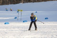 Лыжные гонки в рамках зимнего фестиваля ГТО, Фото: 14