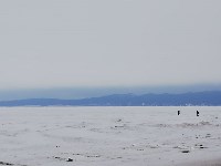 Три группы рыбаков заблудились в Корсаковском районе, Фото: 3
