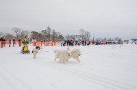 Снежный драйв-2015, Фото: 43