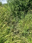 Сточные воды топят дальневосточный гектар, Фото: 2