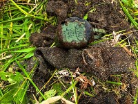 Находки поисковиков на Шумшу, Фото: 4