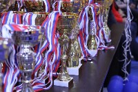 Больше 150 юных спортсменов сразились во Всероссийский день самбо , Фото: 3